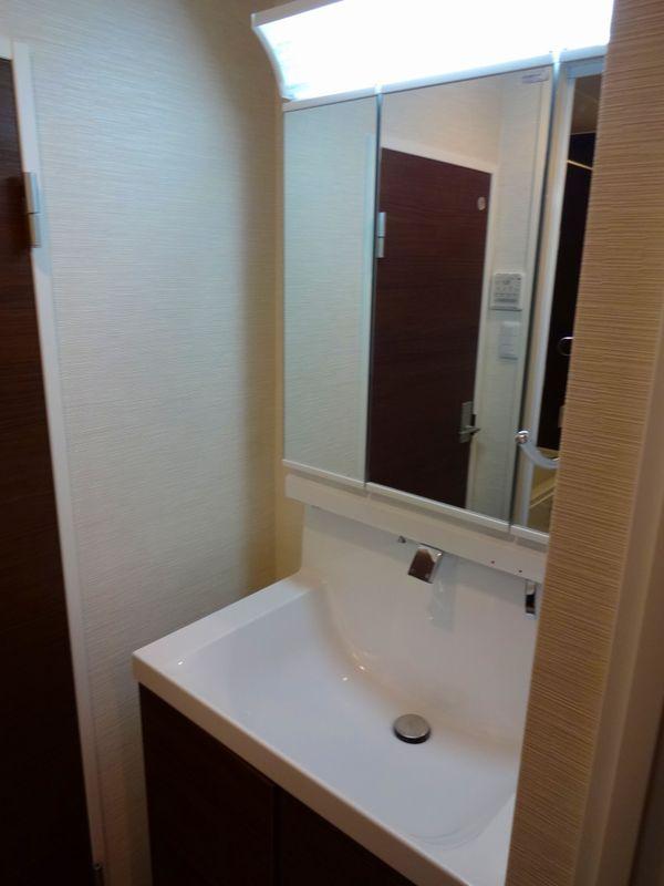 Wash basin, toilet. Bathroom vanity