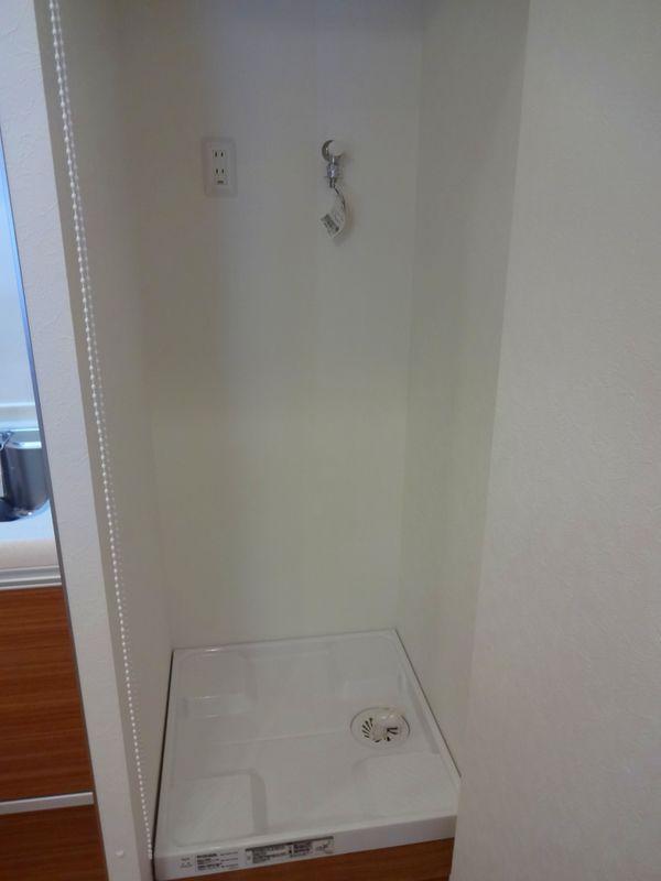 Other introspection. Washing machine Storage