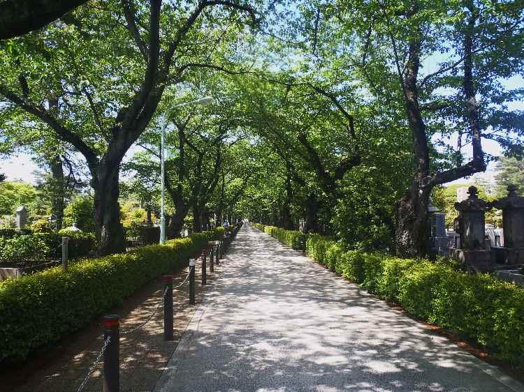 park. Minami-Aoyama 407m until Sanchome green space
