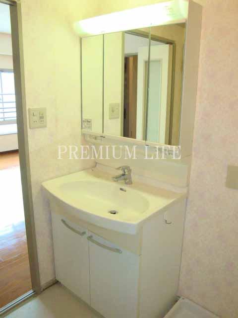 Wash basin, toilet. Bathroom vanity