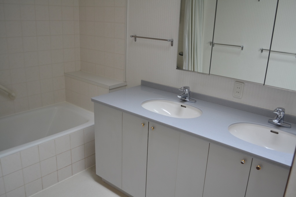 Bath. Master bedroom bathroom