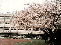 Primary school. 230m until God 応小 school (elementary school)
