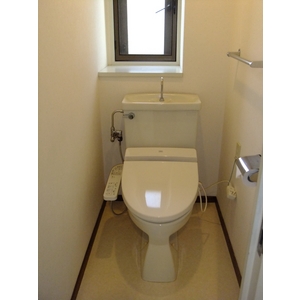 Toilet. With hot cleaning function