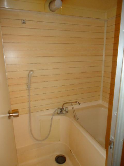 Bathroom. Indoor (10 May 2013) Shooting