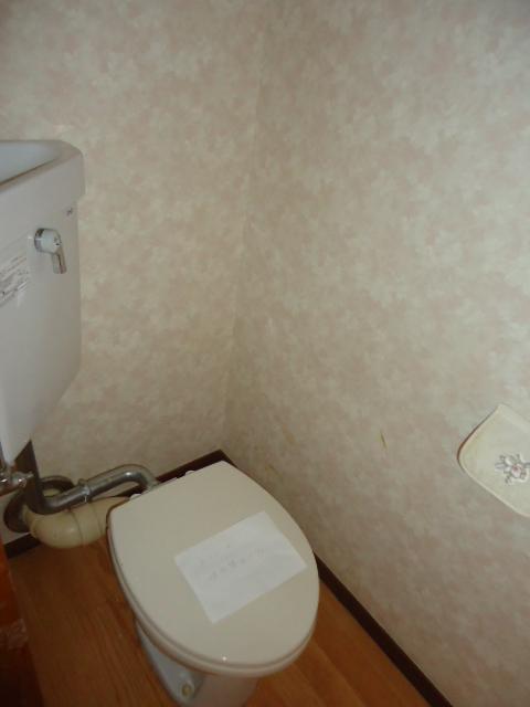 Toilet. Indoor (10 May 2013) Shooting