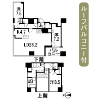 Floor: 3LDK + N + WIC + SC, occupied area: 135.01 sq m, Price: TBD