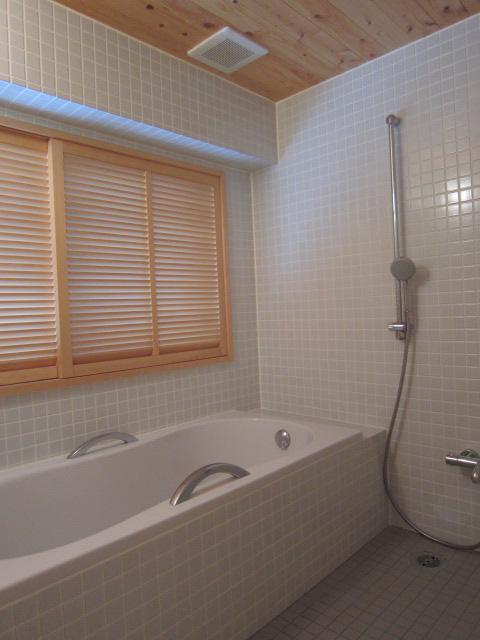 Bathroom. Indoor (10 May 2013) Shooting