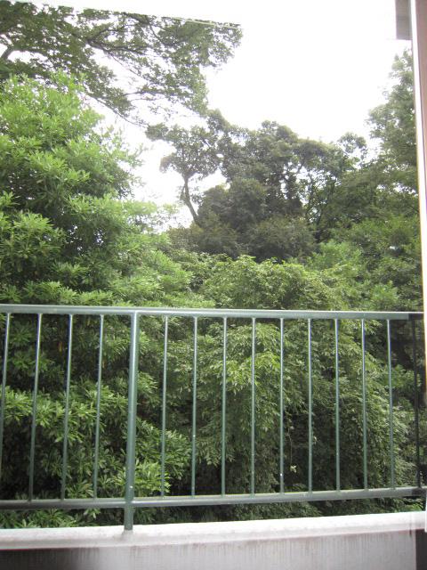 Balcony. Local (10 May 2013) Shooting