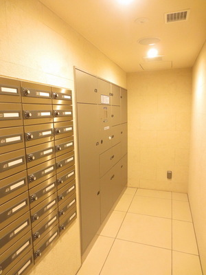 Other common areas. Mailboxes and home delivery box