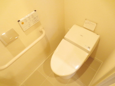 Toilet. There is also a wash basin with hot water cleaning toilet seat