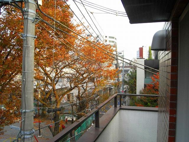 View photos from the dwelling unit. Cherry blossoms in spring, Autumn leaves are beautiful in autumn