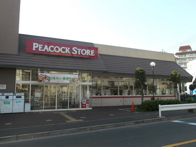 Supermarket. 533m until Peacock (super)