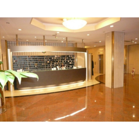 Akasaka, Minato-ku, Tokyo 9