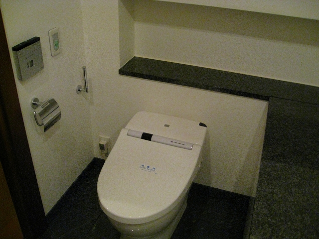 Toilet