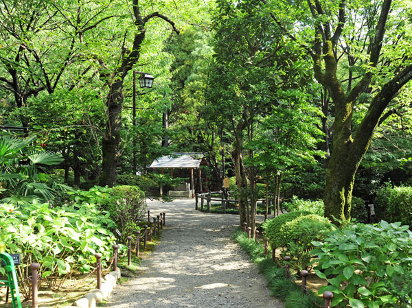 Surrounding environment. Nogi Shrine (about 810m ・ 11-minute walk)