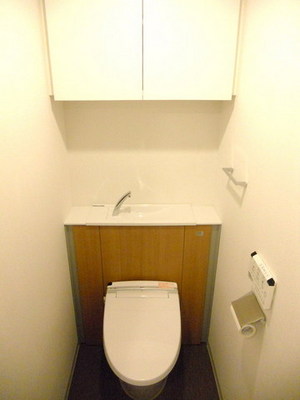 Toilet.  ☆ Wash basin in toilet