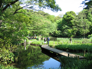 park. 1000m to the National Institute for Nature Study (park)