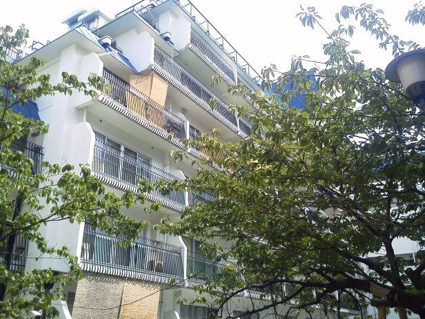 Local appearance photo. appearance