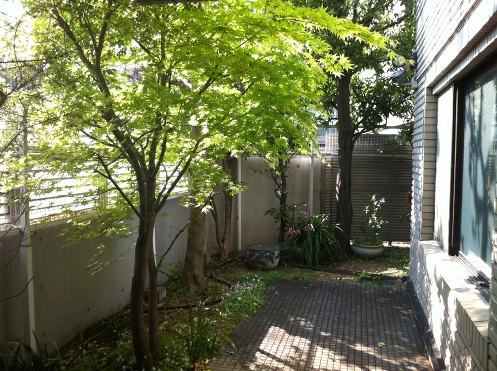 Garden. Local (April 2013) Shooting