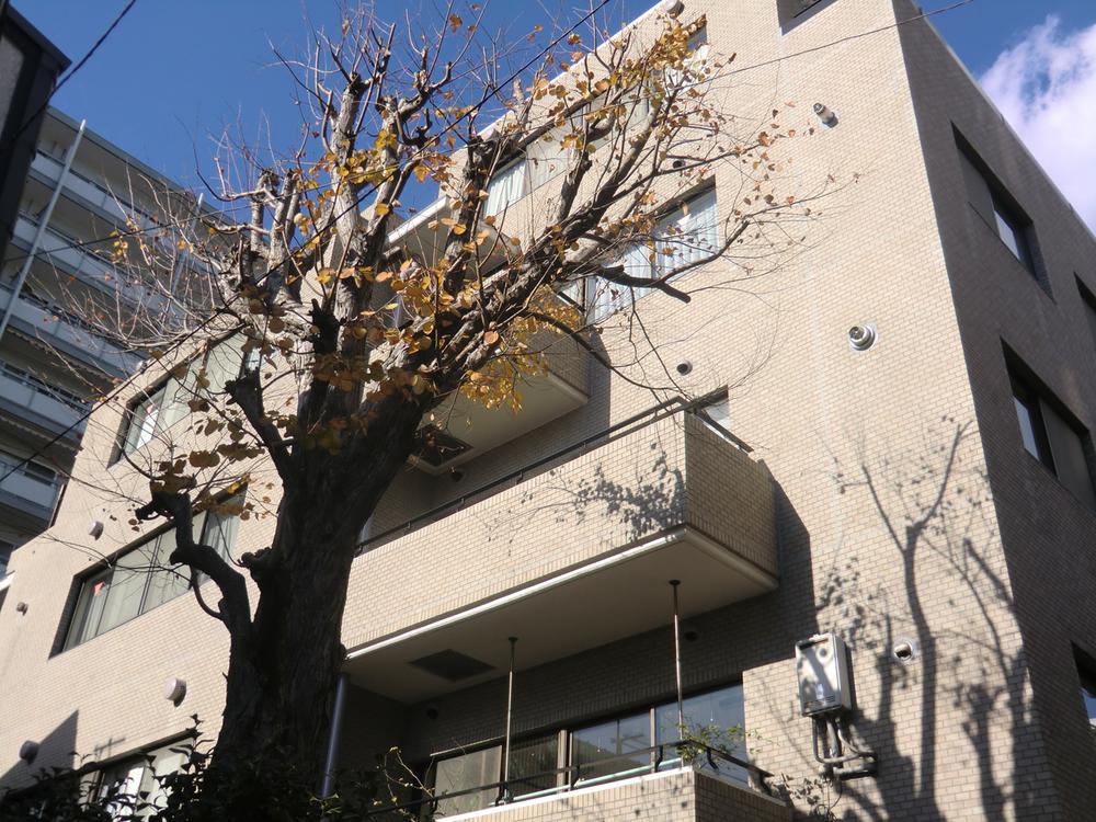 Local appearance photo. South appearance (December 2013) Shooting