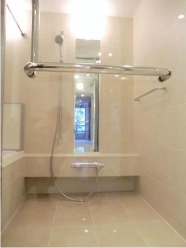 Bathroom. Indoor (12 May 2013) Shooting