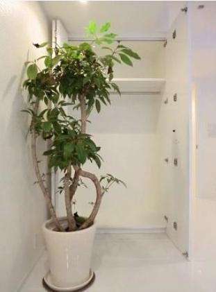 Receipt. Indoor (12 May 2013) Shooting