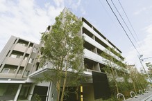 PLACE / Minato-ku, platinum 6-chome. Wrap green and tranquility, Hill of the residential area