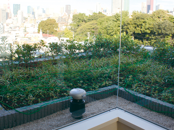 Features of the building.  [Roof greening] It overlaps planting feel the four seasons in view of spread. (2013 October shooting)