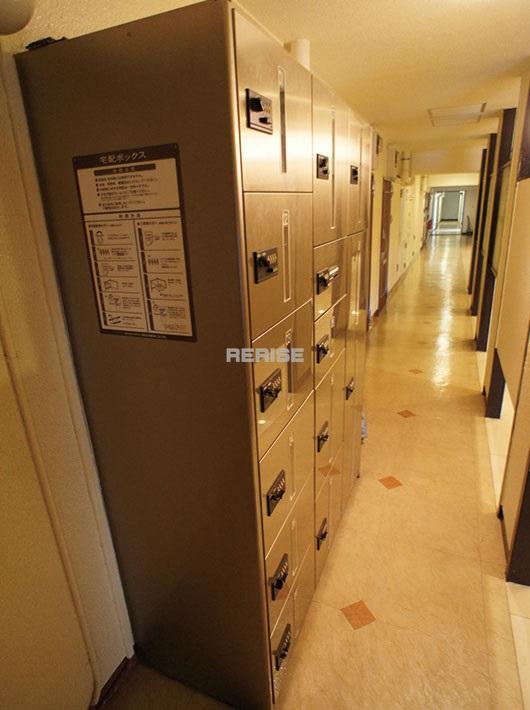 Other common areas. There courier BOX