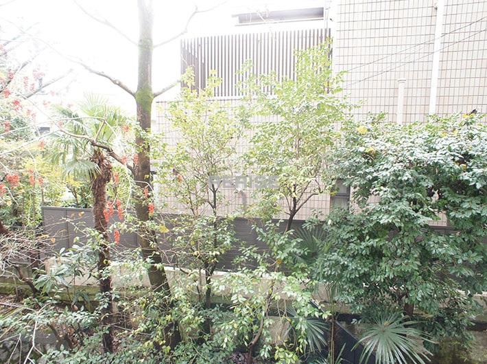 View photos from the dwelling unit. View overlooking the green