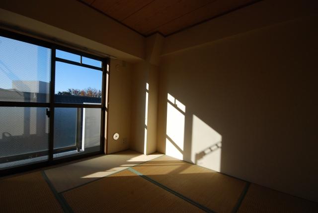 Non-living room. Japanese-style room, which can also be used as a guest room