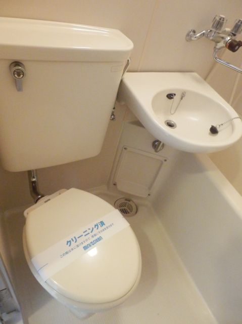 Toilet. Toilet