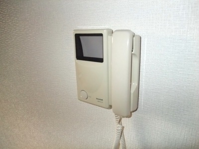 Security. TV door phone