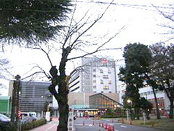 Hospital. Musashinosekijujibyoin until the (hospital) 650m