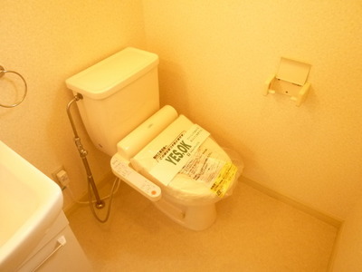 Toilet. Powder Room, With Washlet