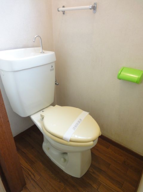 Toilet. Toilet is a separate room