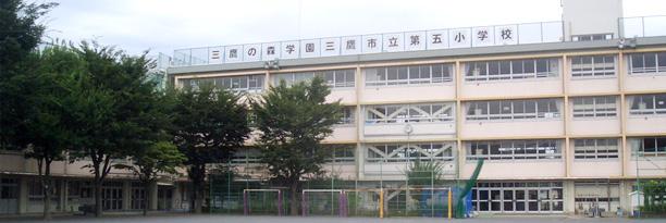 Primary school. Fifth elementary school