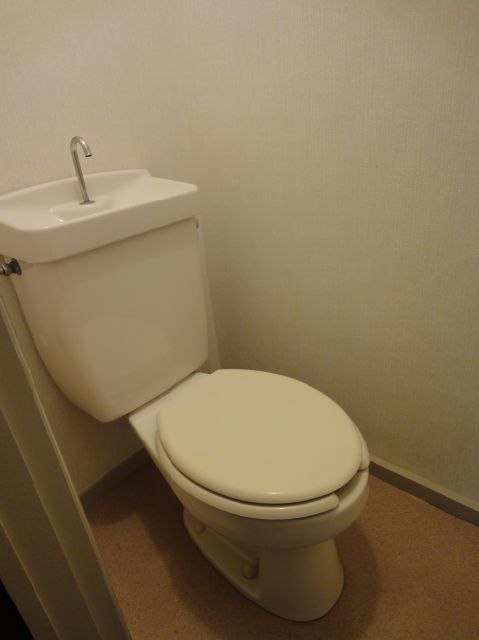 Toilet. Toilet separate room