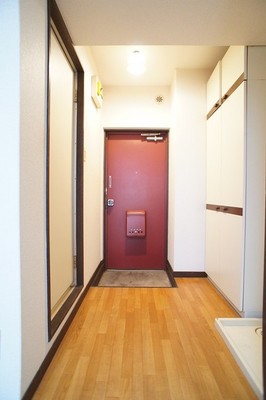 Entrance. Entrance hall of the room ☆