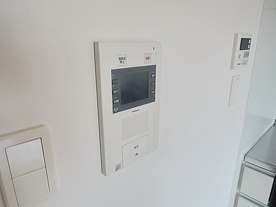 Security. Monitor with intercom