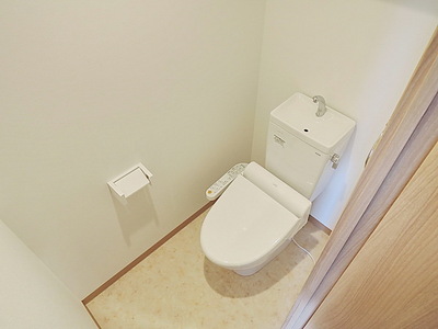 Toilet. Bidet function with toilet