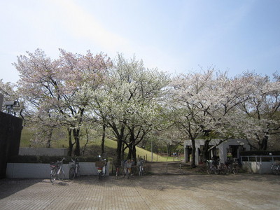 park. 700m to Jindai Botanical Park (park)