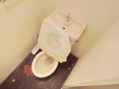 Toilet. Toilet