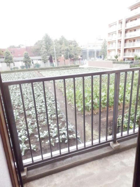 Balcony. Jose and laundry