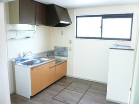 Kitchen. Two-burner gas stove installation Allowed Kitchen