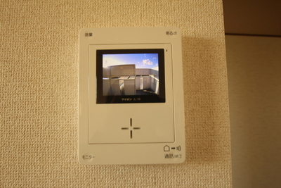 Security. TV monitor with intercom