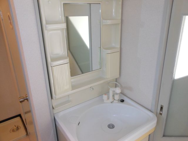 Washroom. Convenient Vanity with the cleansing