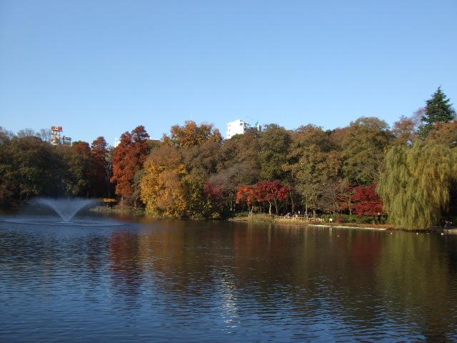 park. 770m to Inokashira Park