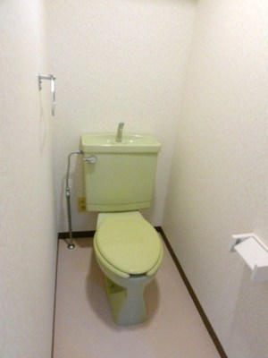 Living and room. Toilet