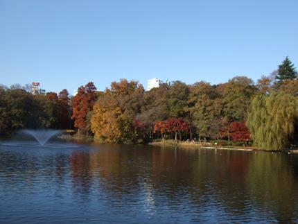 park. To Inokashira Park 320m